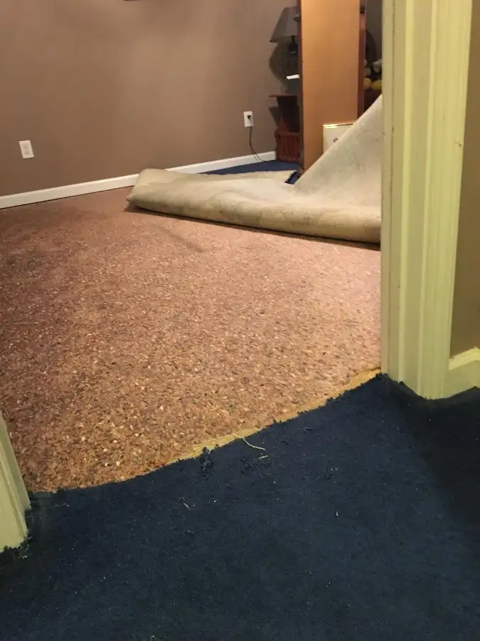 Carpet pad removal revealing water damage during Drying & Dehumidification in Brush